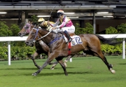 Blocker Dee gets the better of Mr Bogart to win a Class Two handicap at the city track last start.
