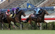 Strathmore (left) crosses the line second behind Not Listenin��tome in a 1000m turf barrier trial this morning.