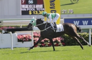 Photo 1, 2<br>
Ridden by Joao Moreira, the Tony Cruz-trained Pakistan Star scores a comfortable win in the Griffin Trophy (1400m) at Sha Tin Racecourse today.