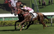 Sun Jewellery (No. 7) gets the better of Dashing Fellow to win the Premier Cup at Sha Tin last season.