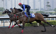 Romantic Touch �V with Matthew Chadwick on board (LONGINES Hong Kong Mile)