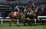 Designs On Rome ��with Joao Moreira on board (LONGINES Hong Kong Cup)