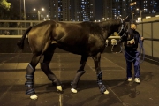 Photo 5, 6 <br>
Queens Ring		(LONGINES Hong Kong Cup)
