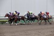LONGINES Hong Kong Mile runner Helene Paragon (orange) finishes fifth in batch 2 this morning, with Sprint contender Amazing Kids (pink/grey) passing the post first and Vase runner Eastern Express (purple) second.