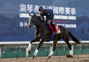 Queens Ring exercises on the Sha Tin all-weather track this morning.