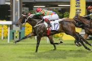 Verbinsky landed his first Class 2 win over 1200m at Happy Valley last time out.