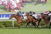 My Darling scores a comfortable win at Sha Tin last time on 27 December.