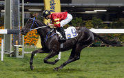 Caspar Fownes completes his double with Marvel Hero in the Class 2 Chater Handicap (1650m) at Happy Valley tonight.