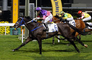 Trainer David Ferraris continues his strong season, getting his second win of the night with Nitro Express in the Class 3 Hong Kong Club Challenge Cup Handicap, over 1650m.