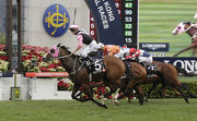 Beauty Only takes top honours in December��s G1 LONGINES Hong Kong Mile.