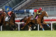 Brett Prebble rides Lucky Bubbles (in red) to a barrier trial win at Sha Tin this morning.