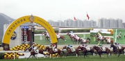 1, 2, 3<br>Trained by Tony Cruz and ridden by Neil Callan, Peniaphobia (No 4) wins the Centenary Sprint Cup at Sha Tin Racecourse today.