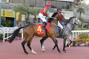Helene Charisma finished ninth on his Hong Kong debut in the Hong Kong Classic Mile. 