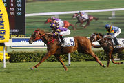 Joao Moreira brings up his 500th win in Hong Kong aboard Western Express in the Class 2 Orchid Handicap (1400m). (R8)