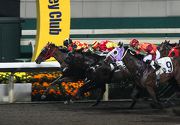 Grade One (red and yellow cap) finishes a gallant second in his Hong Kong debut last month.