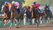 Sun Jewellery (in pink) finishes on top in batch two today at Sha Tin.