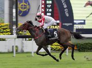 Secret Weapon took the LONGINES Jockey Club Cup over the course and distance in November.