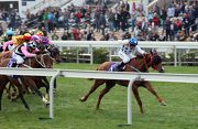 Contentment (front) wins last year��s Queen��s Silver Jubilee Cup impressively.
