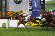 Gerald Mosse guides Gold Mount to victory at the four-year-old��s Hong Kong debut.