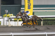 California Whip coasts to victory on the all-weather surface three starts back.