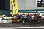 Grade One (red and yellow cap) finishes a close second at his Hong Kong debut.