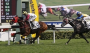 Danny Shum-trained Supreme Profit (No. 9), with Chad Schofield in the saddle, wins the Centenary Vase (G3-1800m) at Sha Tin Racecourse today.