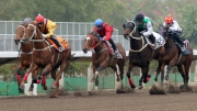 Pakistan Star (black cap) and Dinozzo (blue cap) cross the line second and third behind Winner��s Way (red cap, front) in this morning��s trial.