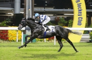 Packing Dragon has won two races at Happy Valley this season.