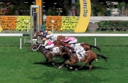 1, 2<br>Caspar Fownes -trained Blocker Dee (No. 8) and John Moore-trained Sea Jade (No. 12), with Karis Teetan and Joao Moreira in the saddle respectively, land a dead-heat victory in the Class 1 Happy Valley Trophy (1200m) at Happy Valley tonight.