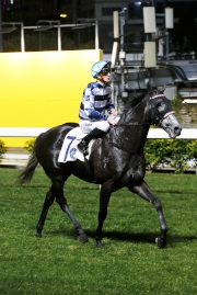 Packing Dragon returns to the winners�� circle at Happy Valley under Chad Schofield.