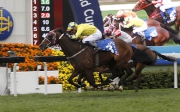1, 4, 5<br>Werther (No. 3), ridden by Hugh Bowman and trained by John Moore, edges Blazing Speed (No. 4) to win the Citi Hong Kong Gold Cup (G1 2000m) - the second leg of the Triple Crown.