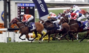 1, 2, 3<br>The John Moore-trained Helene Paragon (Horse No.2), with Tommy Berry on board, takes the G1 Queen��s Silver Jubilee Cup (1400m) at Sha Tin Racecourse today.