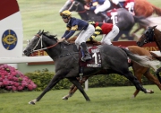2016 Chairman��s Sprint Prize victor Chautauqua is among the six entries from Australia in this year��s G1 Sprint event.