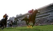 Dundonnell (No. 5) wins the Sprint Cup at Sha Tin in the 2014/15 season.