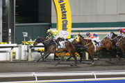 Trainer Caspar Fownes completes a double with the Douglas Whyte-ridden Sky King (No. 3) in Race 6.  