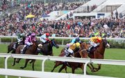 Dundonnell (in purple) finishes a gallant fourth behind Peniaphobia in the 2015 edition of the G1 LONGINES Hong Kong Sprint.