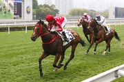 Mr Stunning eases to an impressive with under Joao Moreira in the Friendship Bridge Handicap.