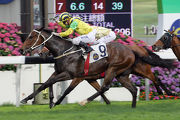Bullish Friend, a 2012 HKIS graduate, won seven races including this in Class 2.