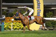 Olivier Doleuze celebrates victory after Winaswewish crosses the line first in the Mount Davis Handicap.
