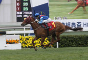Rapper Dragon lands a stylish victory in the Hong Kong Classic Cup last start.