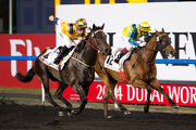 Sterling City's (Horse No.4) Dubai Golden Shaheen win completed a famous World Cup night double for Moreira and Hong Kong in 2014.