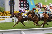 Keen Venture (no. 1) finishes a close second behind King Mortar over 1200m in January this year.