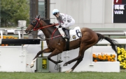 Limitless scored an impressive last-to-first win at Sha Tin in February.