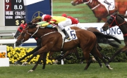 Booming Delight notched a third successive win in a Class 2 2000m handicap on 19 February.