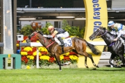 Premiere completes a hat-trick of wins over 1000m at Happy Valley two starts back.