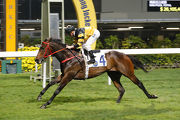 D B Pin lands a cozy win over 1000m at Happy Valley last start.