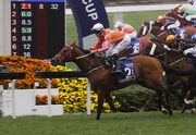 Helene Paragon completes a Group One double in the Queen's Silver Jubilee Cup (1400m) in February.