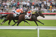 Designs On Rome (No. 4) scores a narrow win in the G2 Oriental Watch Sha Tin Trophy Handicap (1600m) last October.