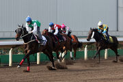 Pakistan Star (green and white silks) crosses the line first in a 1200m dirt barrier trial at Sha Tin today.