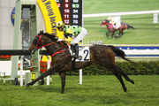 Nothingilikemore remains unbeaten after his latest impressive victory over 1400m at Sha Tin.